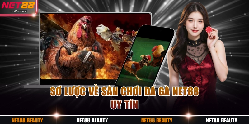 Sơ lược về sân chơi đá gà NET88 uy tín